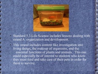 Standard 5.3 Life Science includes lessons dealing with strand A. organization and development.  This strand includes content like investigation into  living things, the makeup of organisms, and the  essential functions of plants and animals.  This one could especially be of interest to students who know they must feed and take care of their pets in order for them to survive. 