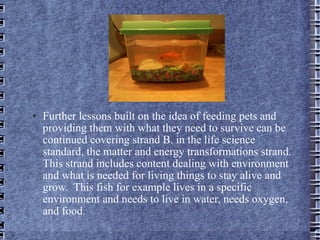 Further lessons built on the idea of feeding pets and providing them with what they need to survive can be continued covering strand B. in the life science  standard, the matter and energy transformations strand.  This strand includes content dealing with environment and what is needed for living things to stay alive and grow.  This fish for example lives in a specific  environment and needs to live in water, needs oxygen, and food.  