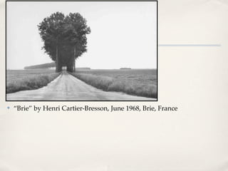 ✤   “Brie” by Henri Cartier-Bresson, June 1968, Brie, France
 