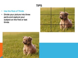 TIPS
• Use the Rule of Thirds
• Divide your picture into three
parts and capture your
subject on the first or last
thirds
 
