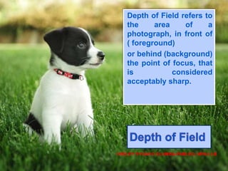 Depth of Field refers to
the area of a
photograph, in front of
( foreground)
or behind (background)
the point of focus, that
is considered
acceptably sharp.
CHELDY SYGACO ELUMBA-PABLEO, MPA;LLB
 