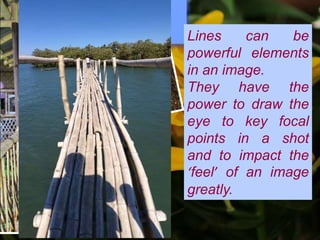 Leading
Lines/Lines Lines can be
powerful elements
in an image.
They have the
power to draw the
eye to key focal
points in a shot
and to impact the
‘feel’ of an image
greatly.
 