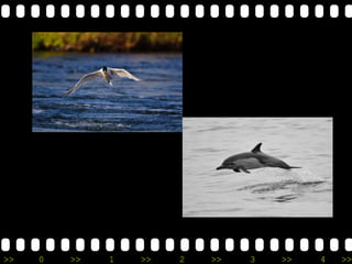 >> 0 >> 1 >> 2 >> 3 >> 4 >>
 