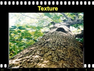 >> 0 >> 1 >> 2 >> 3 >> 4 >>
13/02/2024
Texture
 