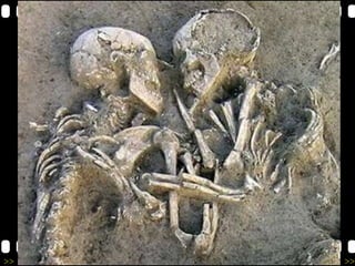 >> 0 >> 1 >> 2 >> 3 >> 4 >>
13/02/2024
 