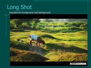 Long Shot
Includes the foreground and background.
 