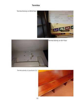 Termite Activity on 22nd floor 
Termite activity in courtroom 5-2 
Termites 
Termite Activity on 6th Floor 
11  