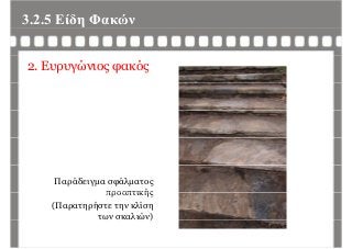 3.2.5 Είδη Φακώνη
2. Ευρυγώνιος φακός
Παράδειγμα σφάλματος
προοπτικήςπροοπτικής
(Παρατηρήστε την κλίση
των σκαλιών))
 