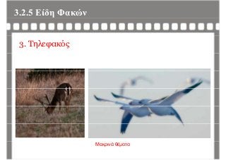 3.2.5 Είδη Φακώνη
3. Τηλεφακός
Μακρινά θέματα
 