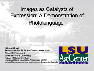Images as Catalysts of
     Expression: A Demonstration of
            Photolanguage



Presented by:
Rebecca White, Ph.D. and Diane Sasser, Ph.D.
Associate Professor s
Louisiana State University
School of Human Ecology
Louisiana State University Agricultural Center
bwhite@agcenter.lsu.edu and dsasser@agcenter.lsu.edu
 