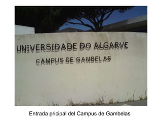 Entrada pricipal del Campus de Gambelas 