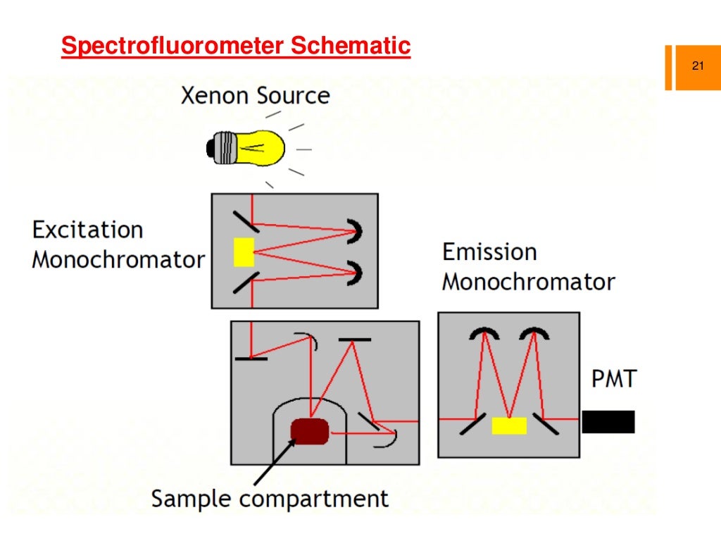 Photo luminescence Photo luminescence