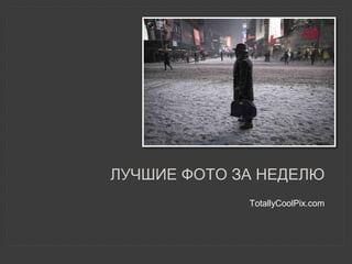 TotallyCoolPix.com
ЛУЧШИЕ ФОТО ЗА НЕДЕЛЮ
 