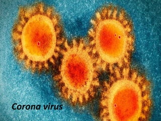 Corona virus
 