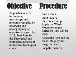 Photomicrography project | PPTX