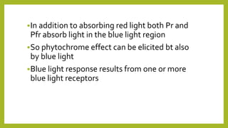 In addition to absorbing red light both Pr and
Pfr absorb light in the blue light region
So phytochrome effect can be elicited bt also
by blue light
Blue light response results from one or more
blue light receptors
 