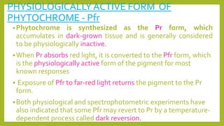 PHYSIOLOGICALLYACTIVE FORM OF
PHYTOCHROME - Pfr
•Phytochrome is synthesized as the Pr form, which
accumulates in dark-grown tissue and is generally considered
to be physiologically inactive.
When Pr absorbs red light, it is converted to the Pfr form, which
is the physiologically active form of the pigment for most
known responses
 Exposure of Pfr to far-red light returns the pigment to the Pr
form.
Both physiological and spectrophotometric experiments have
also indicated that some Pfr may revert to Pr by a temperature-
dependent process called dark reversion.
 