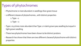 Types of phytochromes
 Phytochrome is most abundant in seedlings than green tissue
 2 different classes of phytochromes , with distinct properties
1.Type – 1
2.Type – 2
 Type 1 is 9 times more abundant thanType 2 in dark grown pea seadling but equal in
light grown seedling
 These two phytochromes have been shown to be distinct protiens
 Research has shown that there are two different classesof phytochrome with distinct
properties
 
