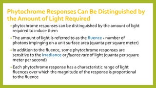 Phytochrome Responses Can Be Distinguished by
the Amount of Light Required
• phytochrome responses can be distinguished by the amount of light
required to induce them
• The amount of light is referred to as the fluence - number of
photons impinging on a unit surface area (quanta per square meter)
• In addition to the fluence, some phytochrome responses are
sensitive to the irradiance or fluence rate of light (quanta per square
meter per second)
• Each phytochrome response has a characteristic range of light
fluences over which the magnitude of the response is proportional
to the fluence
 
