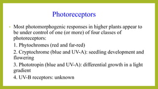 Photoreceptors
• Most photomorphogenic responses in higher plants appear to
be under control of one (or more) of four classes of
photoreceptors:
1. Phytochromes (red and far-red)
2. Cryptochrome (blue and UV-A): seedling development and
flowering
3. Phototropin (blue and UV-A): differential growth in a light
gradient
4. UV-B receptors: unknown
 