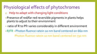 Physiological effects of phytochromes
1) Help to adapt with changing light conditions
•Presence of red/far red reversible pigments in plants helps
plants to adjust to their environment
• ratio of R to Pfr varies considerably in different environment
•R/FR =Photon fluence ratein 10 nm band centered on 660 nm
Photon fluence ratein 10 nm band centered on 730 nm
 