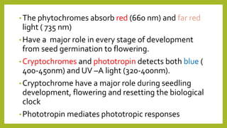 •The phytochromes absorb red (660 nm) and far red
light ( 735 nm)
•Have a major role in every stage of development
from seed germination to flowering.
•Cryptochromes and phototropin detects both blue (
400-450nm) and UV –A light (320-400nm).
•Cryptochrome have a major role during seedling
development, flowering and resetting the biological
clock
•Phototropin mediates phototropic responses
 