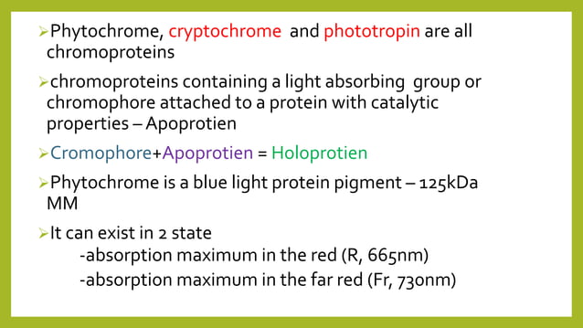 Photomorphogenesis | PPTX