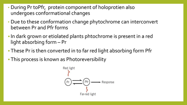 Photomorphogenesis | PPTX