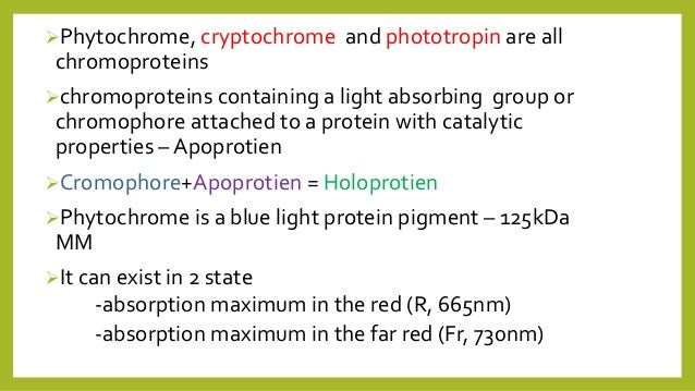 PHYTOCHROMES AND CRYPTOCHROMES EPUB PHYTOCHROMES AND CRYPTOCHROMES EPUB