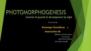Control of growth & development by light
Presented By –
Hemanga Choudhury &
Hakimuddin SK
[Bachelor of Science (Hons.)
Batch 2020-2023
Department of Botany
B.H College, Howly]
 