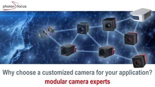 1
Why choose a customized camera for your application?
modular camera experts
 