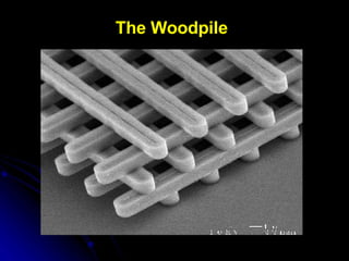 The Woodpile 
