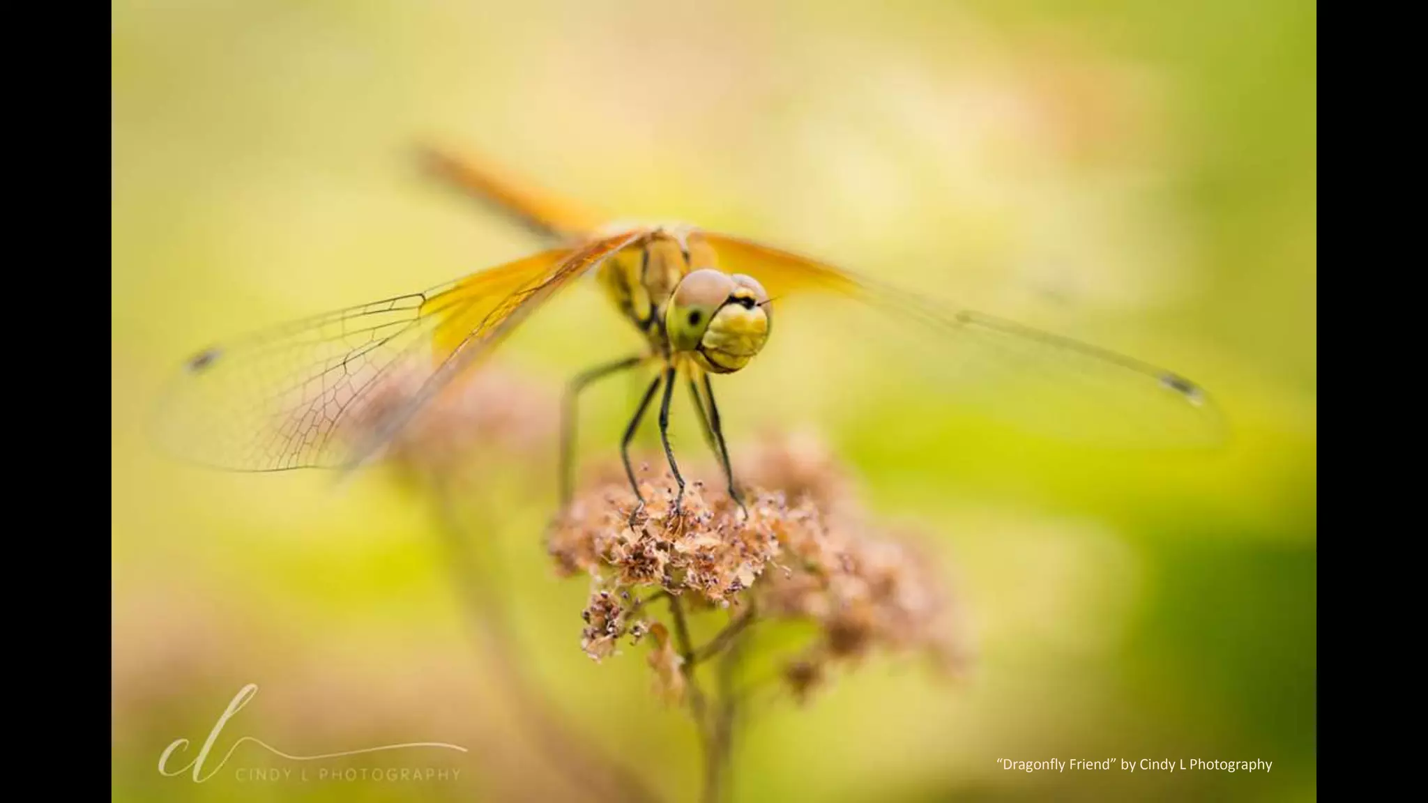 Photo of The Day From Outdoor Photographer | PPT