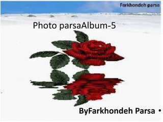5-Photo parsaAlbum ,[object Object],[object Object]