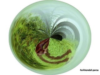 Photoparsa album 694