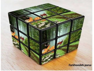 Photoparsa album 694