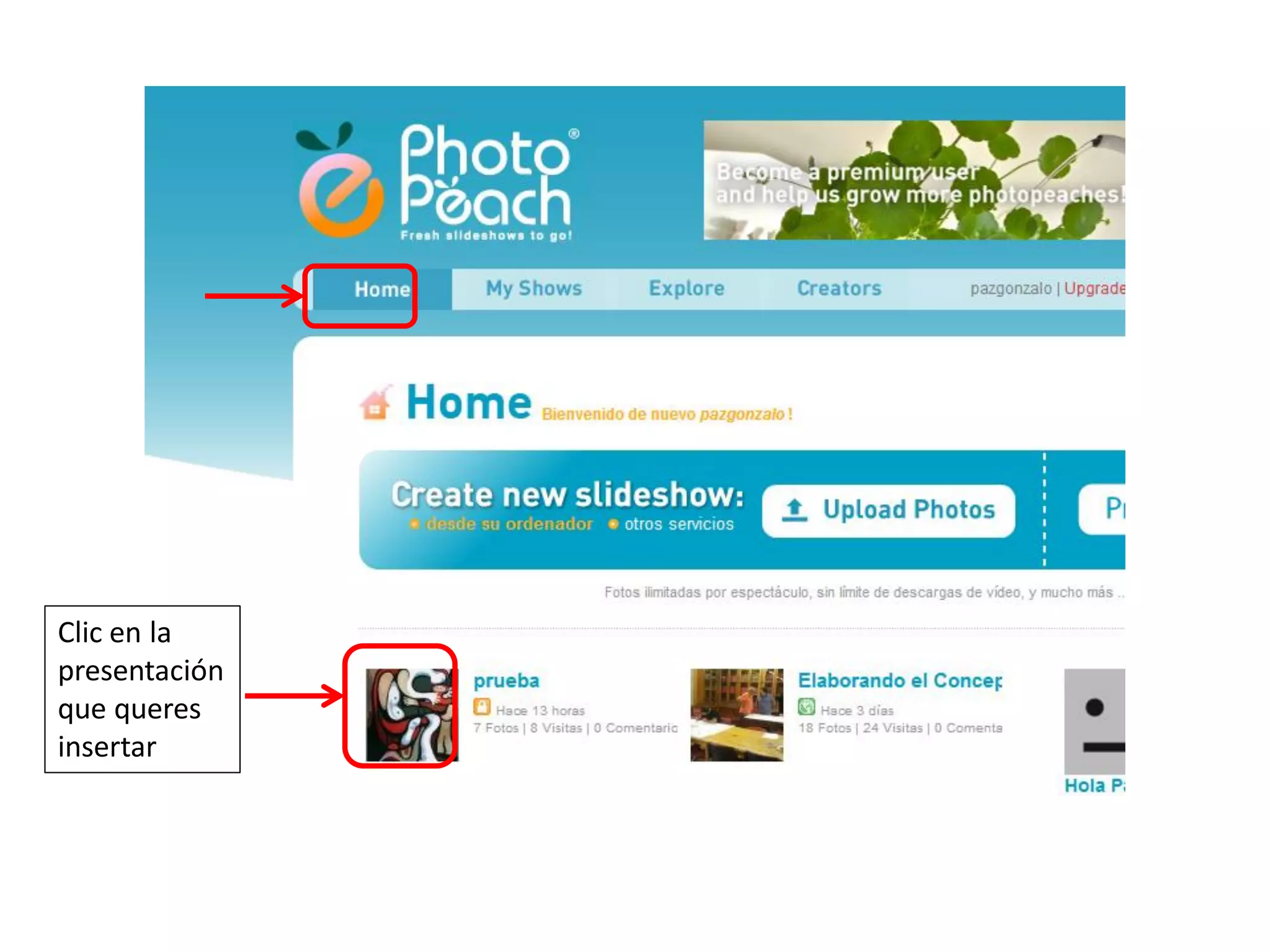 Clic en la
presentación
que queres
insertar
 
