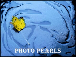 Photo Pearls