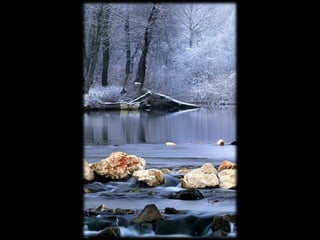 Photo Pearls