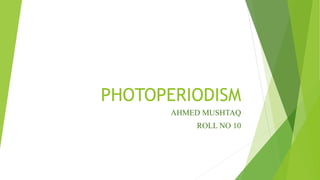 PHOTOPERIODISM
AHMED MUSHTAQ
ROLL NO 10
 
