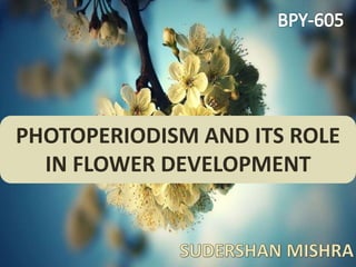 PHOTOPERIODISM AND ITS ROLE
IN FLOWER DEVELOPMENT
 