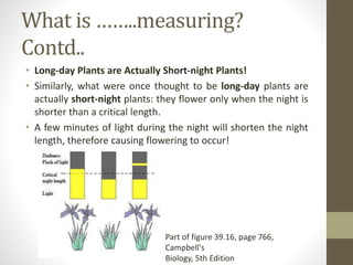 What is ……..measuring?
Contd..
• Long-day Plants are Actually Short-night Plants!
• Similarly, what were once thought to be long-day plants are
actually short-night plants: they flower only when the night is
shorter than a critical length.
• A few minutes of light during the night will shorten the night
length, therefore causing flowering to occur!
Part of figure 39.16, page 766,
Campbell's
Biology, 5th Edition
 