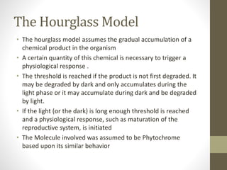 The Hourglass Model
• The hourglass model assumes the gradual accumulation of a
chemical product in the organism
• A certain quantity of this chemical is necessary to trigger a
physiological response .
• The threshold is reached if the product is not first degraded. It
may be degraded by dark and only accumulates during the
light phase or it may accumulate during dark and be degraded
by light.
• If the light (or the dark) is long enough threshold is reached
and a physiological response, such as maturation of the
reproductive system, is initiated
• The Molecule involved was assumed to be Phytochrome
based upon its similar behavior
 