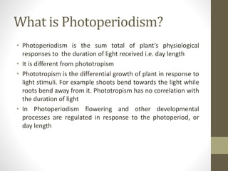 What is Photoperiodism?
• Photoperiodism is the sum total of plant’s physiological
responses to the duration of light received i.e. day length
• It is different from phototropism
• Phototropism is the differential growth of plant in response to
light stimuli. For example shoots bend towards the light while
roots bend away from it. Phototropism has no correlation with
the duration of light
• In Photoperiodism flowering and other developmental
processes are regulated in response to the photoperiod, or
day length
 