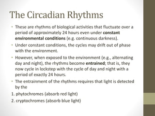 The Circadian Rhythms
• These are rhythms of biological activities that fluctuate over a
period of approximately 24 hours even under constant
environmental conditions (e.g. continuous darkness).
• Under constant conditions, the cycles may drift out of phase
with the environment.
• However, when exposed to the environment (e.g., alternating
day and night), the rhythms become entrained; that is, they
now cycle in lockstep with the cycle of day and night with a
period of exactly 24 hours.
• The entrainment of the rhythms requires that light is detected
by the
1. phytochromes (absorb red light)
2. cryptochromes (absorb blue light)
 