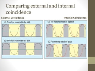 Comparing external and internal
coincidence
External Coincidence Internal Coincidence
 