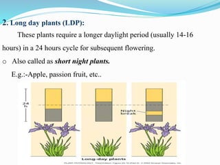 Photoperiodism PPT