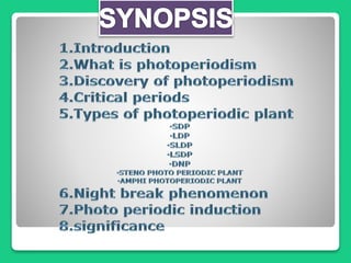 PHOTOPERIODISM.pptx