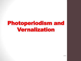 Photoperiodism and
Vernalization
PRP
 
