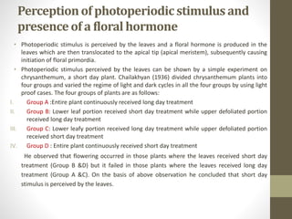 Perceptionof photoperiodicstimulus and
presenceof a floral hormone
• Photoperiodic stimulus is perceived by the leaves and a floral hormone is produced in the
leaves which are then translocated to the apical tip (apical meristem), subsequently causing
initiation of floral primordia.
• Photoperiodic stimulus perceived by the leaves can be shown by a simple experiment on
chrysanthemum, a short day plant. Chailakhyan (1936) divided chrysanthemum plants into
four groups and varied the regime of light and dark cycles in all the four groups by using light
proof cases. The four groups of plants are as follows:
I. Group A :Entire plant continuously received long day treatment
II. Group B: Lower leaf portion received short day treatment while upper defoliated portion
received long day treatment
III. Group C: Lower leafy portion received long day treatment while upper defoliated portion
received short day treatment
IV. Group D : Entire plant continuously received short day treatment
He observed that flowering occurred in those plants where the leaves received short day
treatment (Group B &D) but it failed in those plants where the leaves received long day
treatment (Group A &C). On the basis of above observation he concluded that short day
stimulus is perceived by the leaves.
 